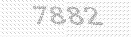 Visual security code — type the characters shown in the image